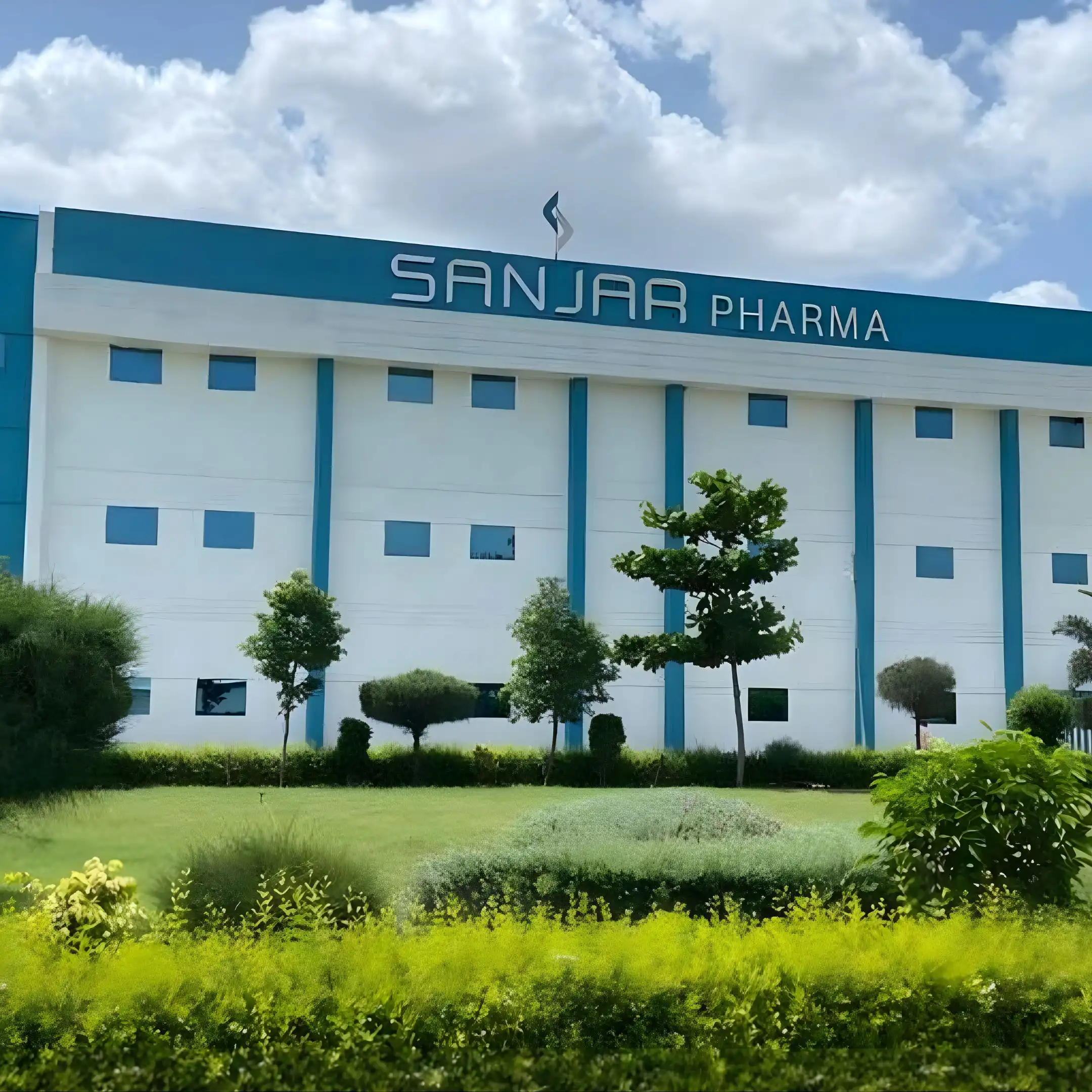 Sanjar Plant Image